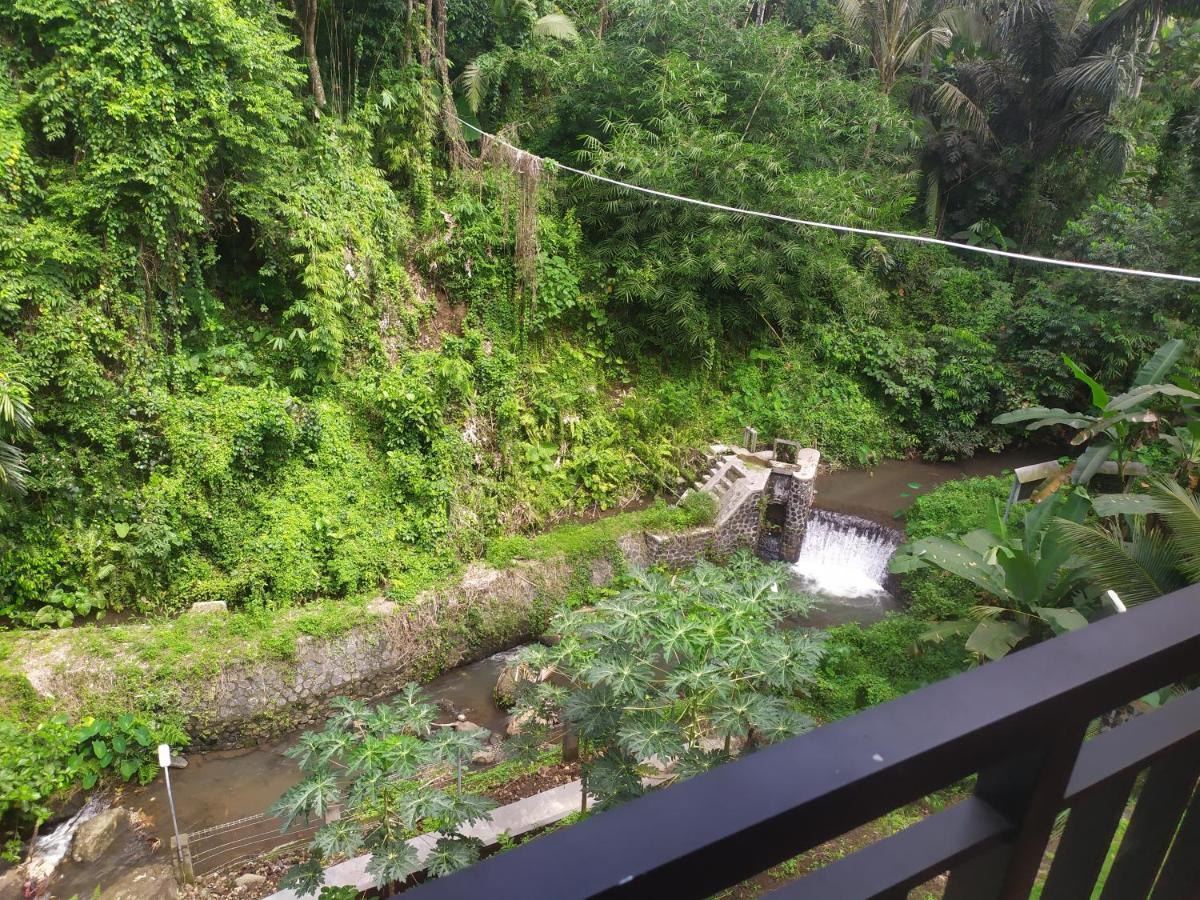 Kelapa Gading Villas Banyuwangi  Eksteriør billede